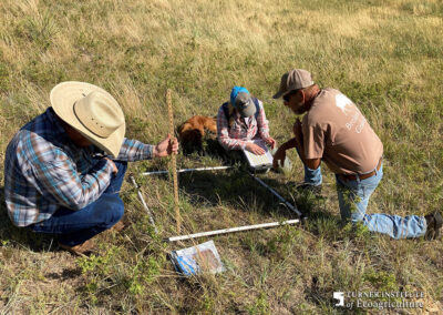 Turner Institute of Ecoagriculture employees in the field